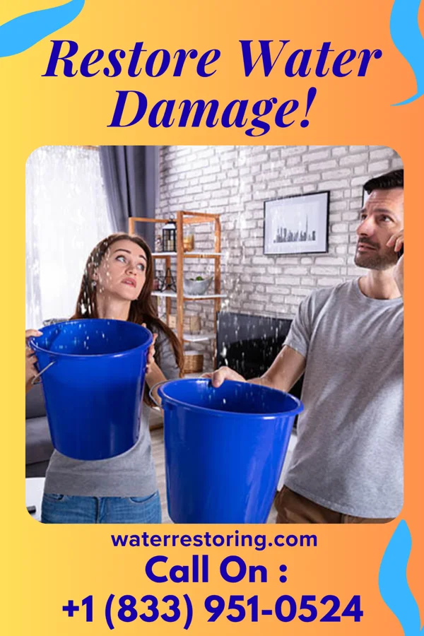 water restoration Master Emergency Restoration Group Mount Clemens