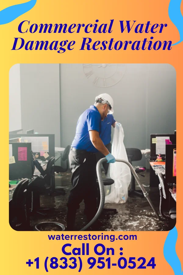 Commercial Water Damage Restoration in Mount Clemens, MI