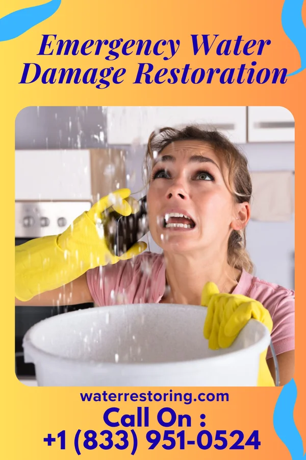 Emergency Water Damage Restoration in Mount Clemens, MI