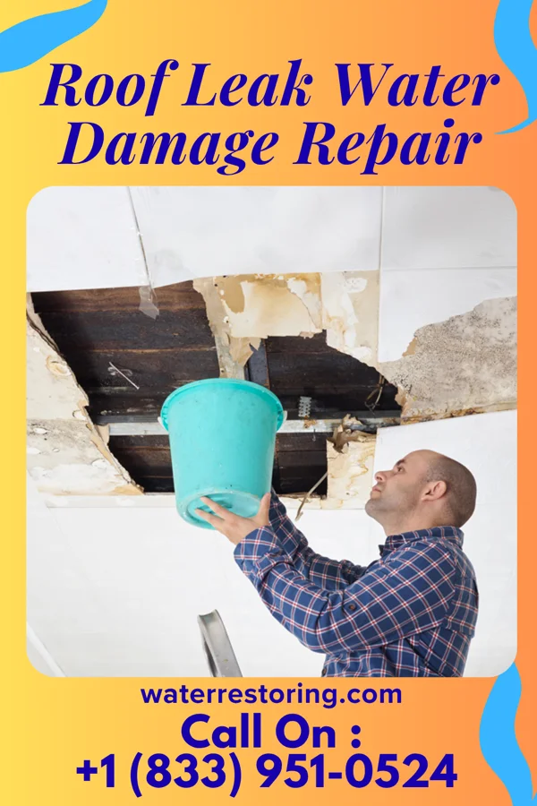 Roof Leak Water Damage Repair in Mount Clemens, MI