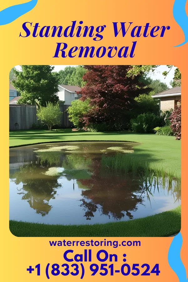Standing Water Removal in Mount Clemens, MI